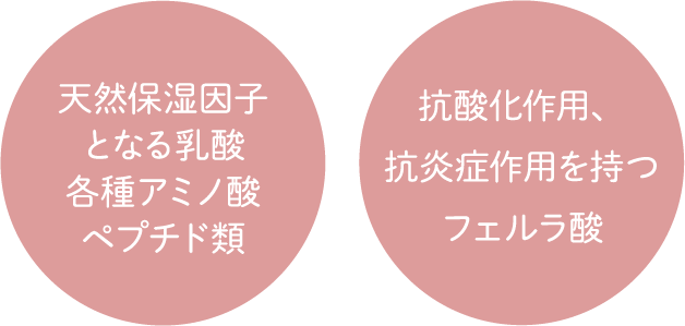 「天然保湿因子となる乳酸各種アミノ酸ペプチド類」「抗酸化作用、抗炎症作用を持つフェルラ酸」